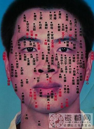 什么面相的男人命好?
