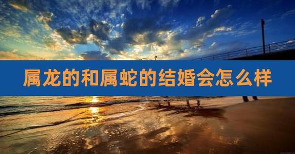 属龙的和属蛇2021年结婚好吗