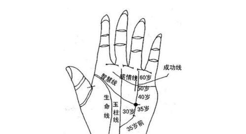 女生手相分析 手中的纹络都有不同指向