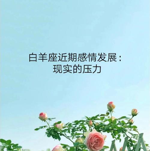 白羊座男人遇到压力时的表现