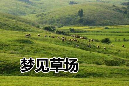 梦见草场有什么寓意？