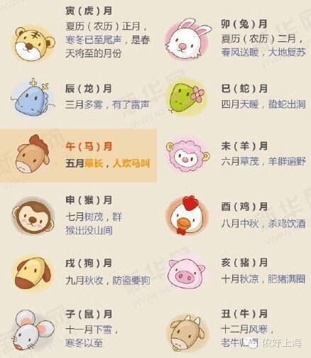 猴年有哪些年份