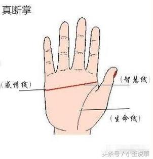 女人左手断掌什么命运