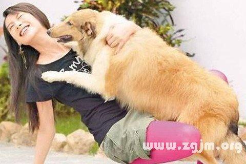 梦见一只很凶的狗朝我扑过来