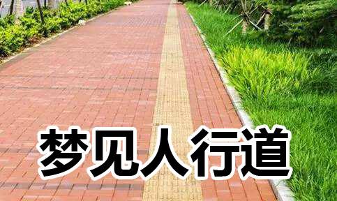 梦见人行道