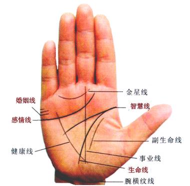 最好的婚姻线是哪种