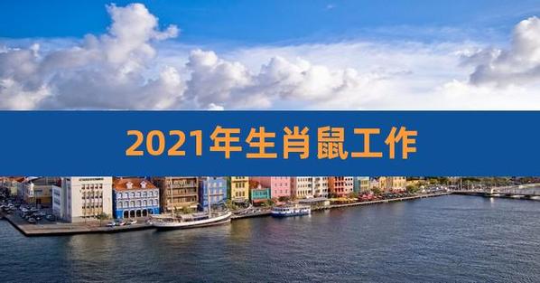 属鼠人适不适合在2023年跳槽换工作