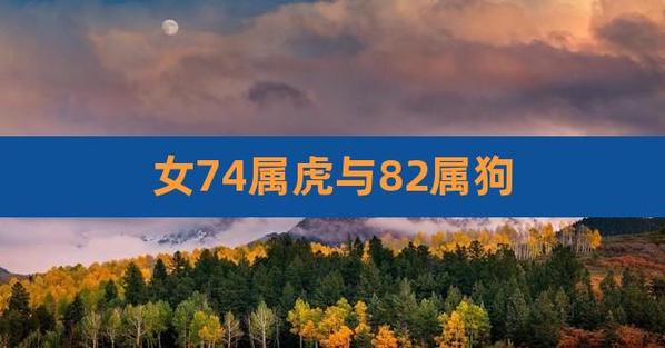 属狗的女人嫁给属虎的怎么样