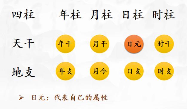 八字中年柱的含义