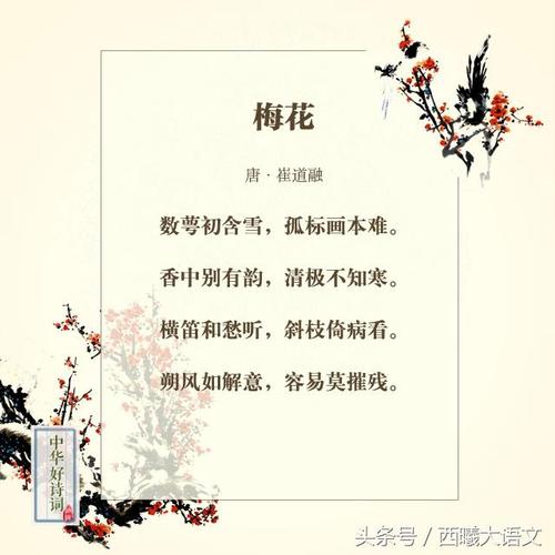 傲骨的象征,古代描述梅花的诗句有哪些
