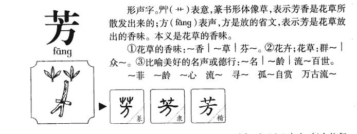 芳在名字中的寓意是什么