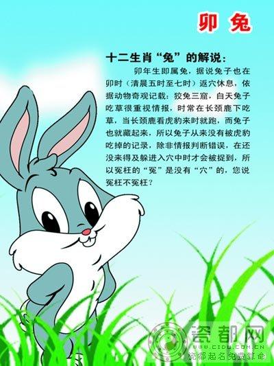 属兔人出生时辰命运