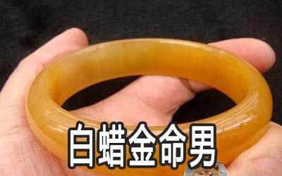 白蜡金命男有智慧