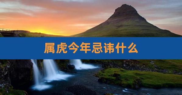 属虎今年有一难吗,有什么禁忌