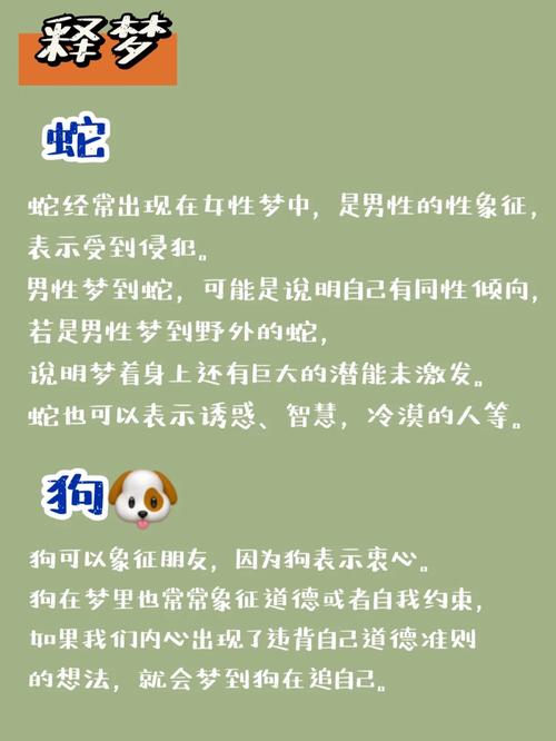 梦见几只猫狗