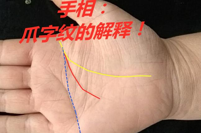 女人手像鸡爪子命好吗
