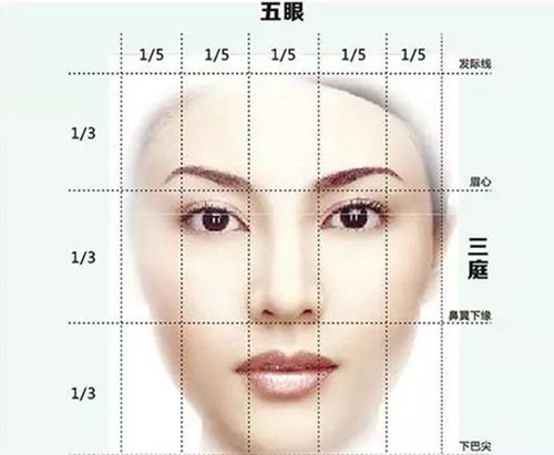 面部福相人面解析