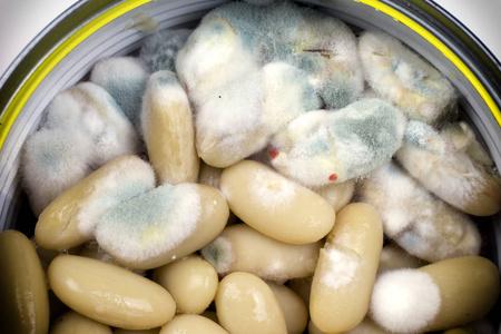 梦见豆子发霉