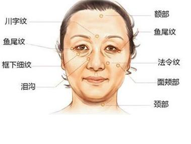 女人法令纹面相解析