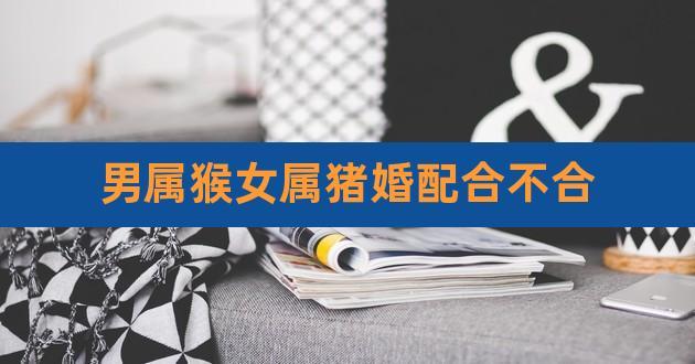 属猪和属猴的婚配如何