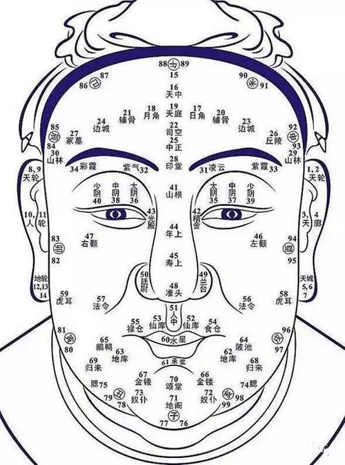 教你30招简单实用的面相识人术