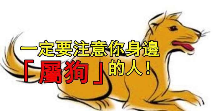 怎么样一招看透属狗人不爱你的表现