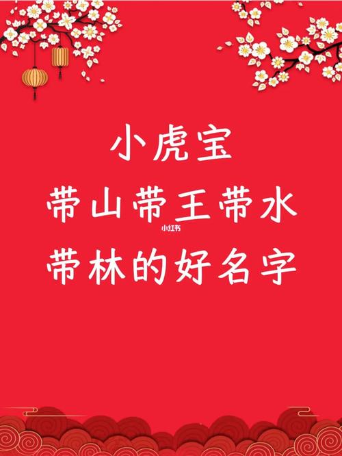 虎宝宝有山有林的名字怎么取