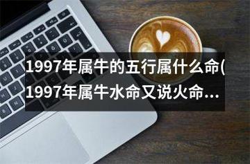 属牛人2022年5月份运势走向详解,火牛人性格怎样?