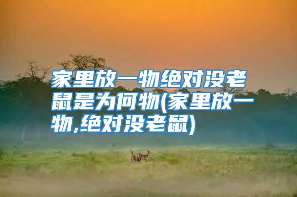 家里放一物绝对没老鼠是为何物