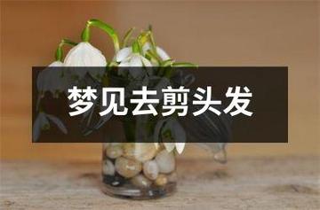梦见到理发店剪头发,梦见去剪头发