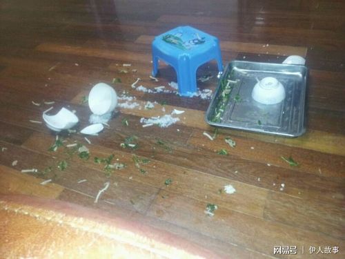 梦见吵架摔碗盘子