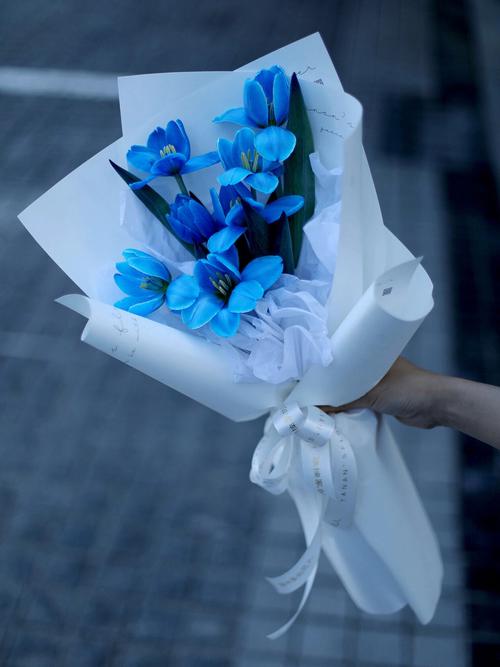 蓝色郁金香花语:不可预知的未来
