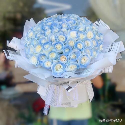 爱情草的花语是什么