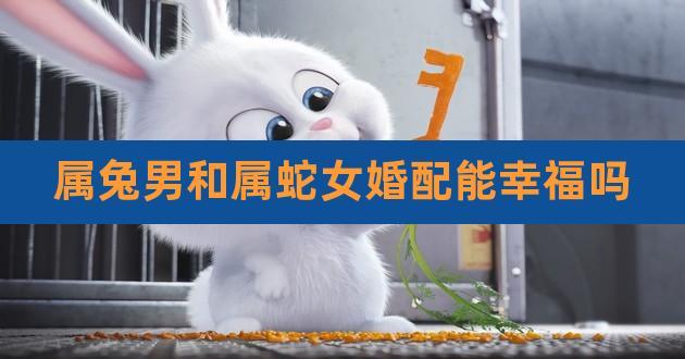 属蛇男和属兔女相配吗