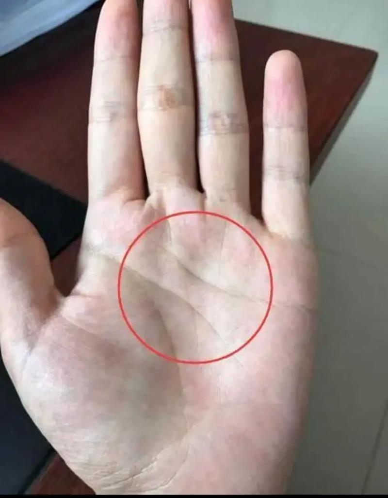 手相看命智慧线详解