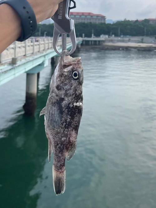 女人梦见钓了好多小鱼