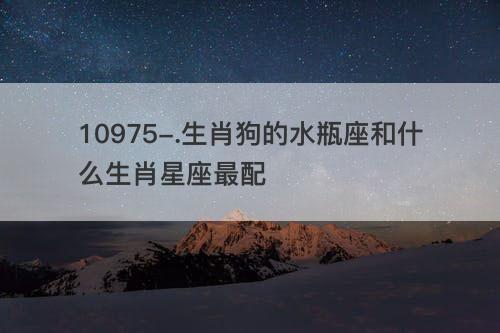 生肖狗的水瓶座和什么生肖星座最配