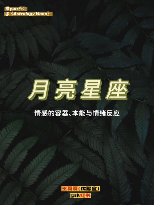 八月十九是什么星座