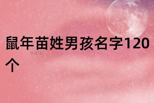 2021鼠年11月出生苗姓男孩好名字取什么好