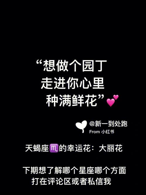 善解人意的四大星座,对朋友重情重义,能够理解和包容别人