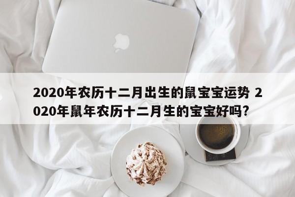 十二月出生的鼠怎么样
