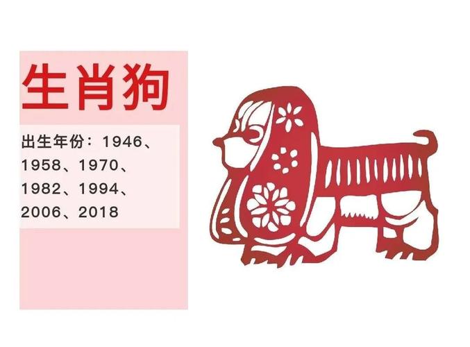 身不由己是什么生肖