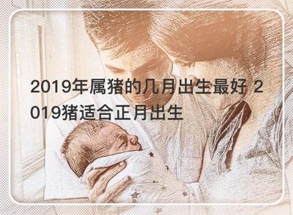 2019属猪出生几月好