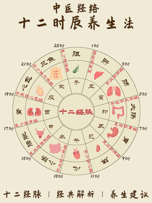 子时和卯时犯冲吗