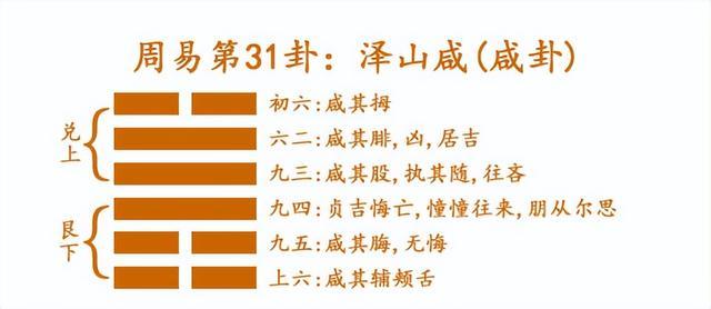 泽山咸卦 泽山咸卦是好卦吗