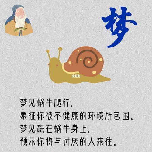 梦见很多蜗牛是什么意思