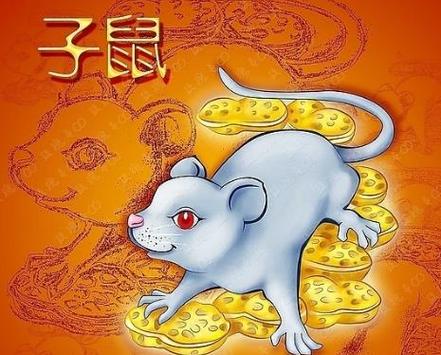 在什么样的场合下属鼠总是觉得孤独