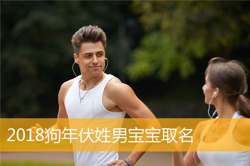 伏姓狗年男宝宝名字