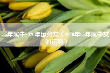 属牛女生适合从事什么工作