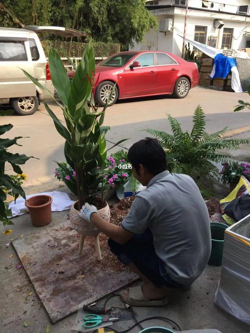 阳台朝向哪个方位有利于提升家运